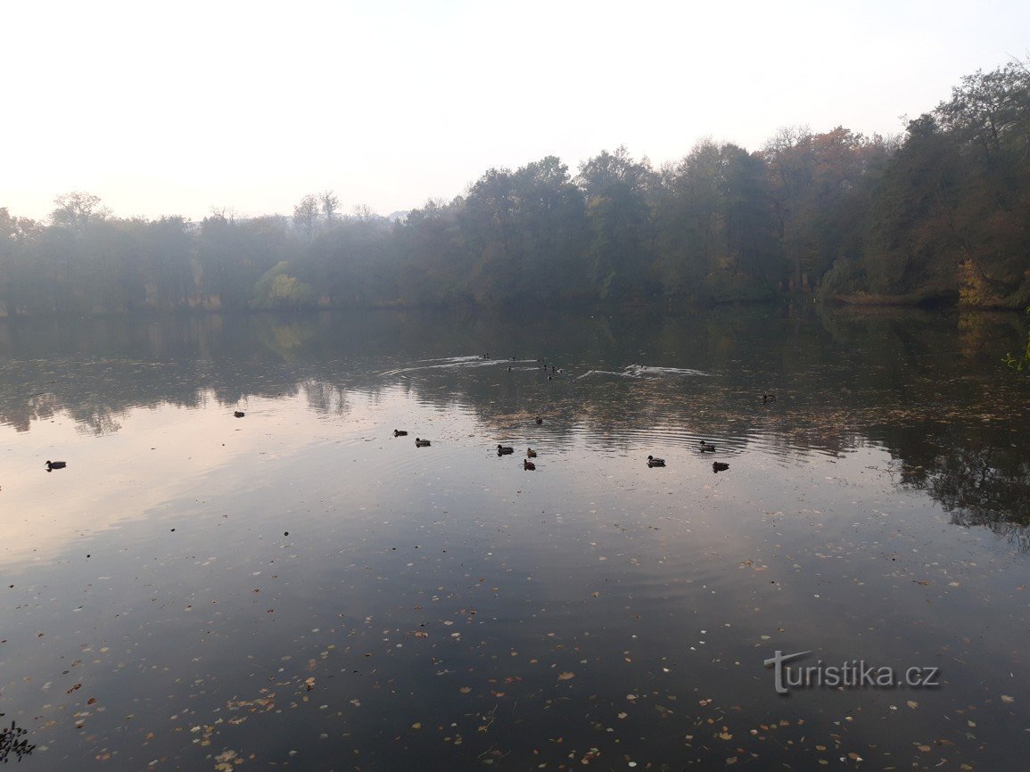 Grădina castelului în spa Teplice