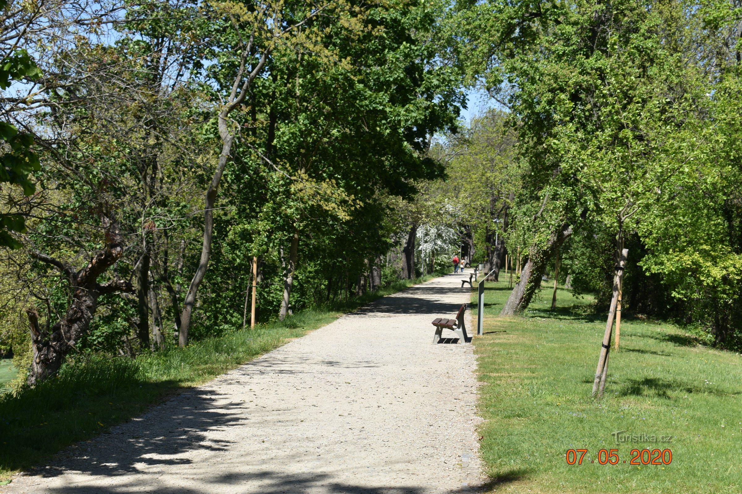 Burgmauern von Pardubice