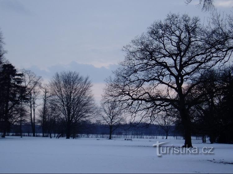 parcul castelului