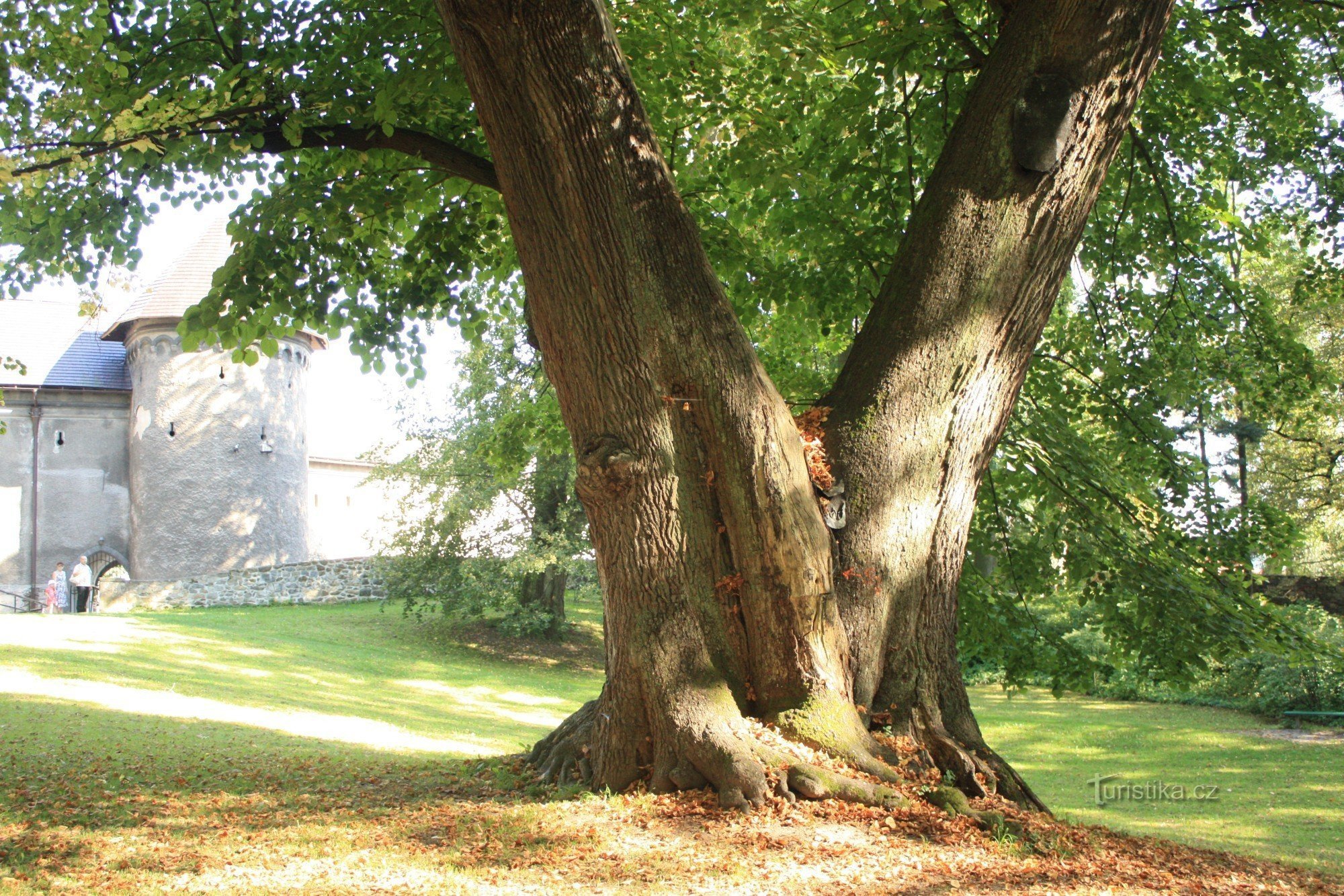 Park zamkowy