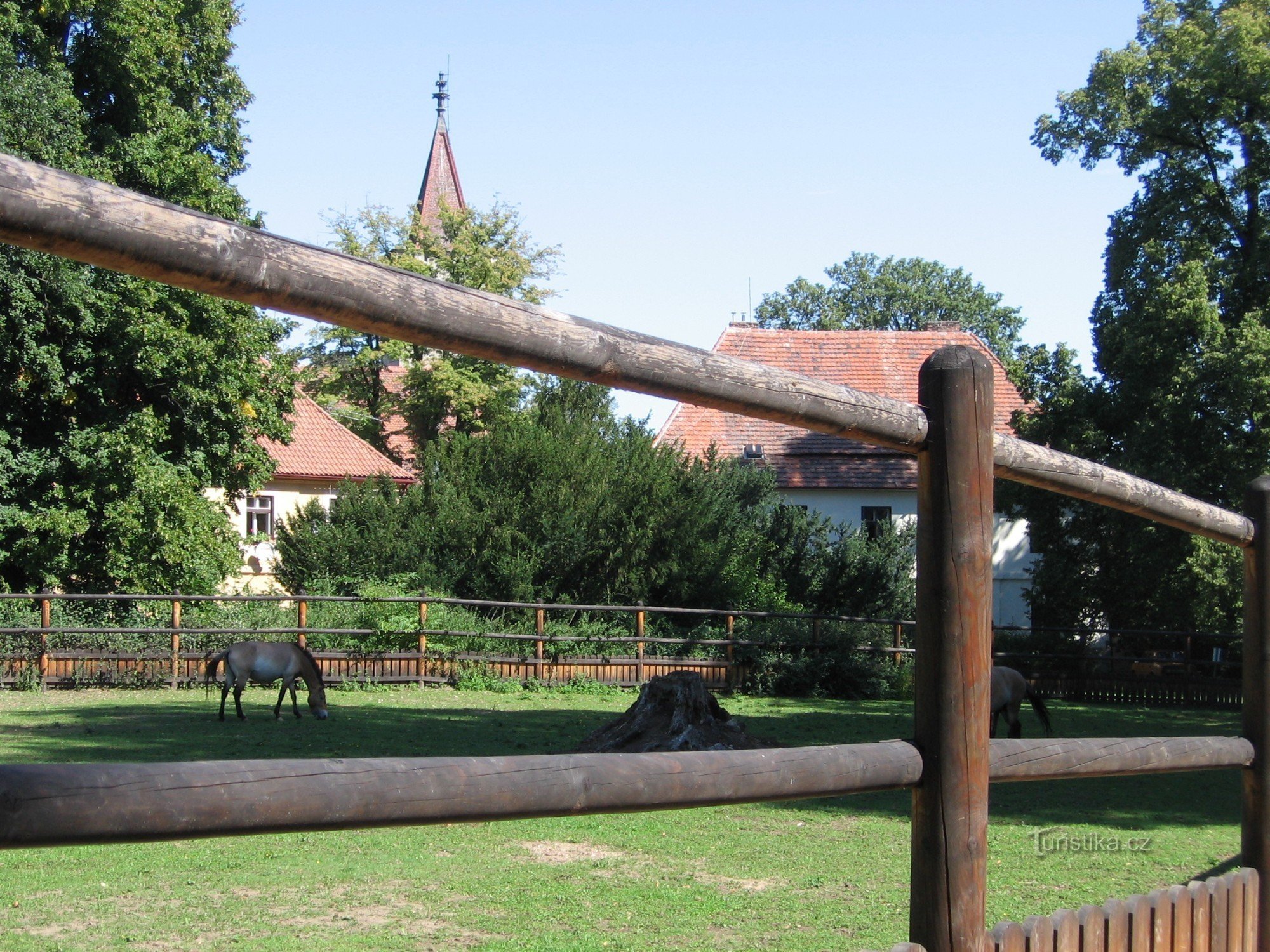 Park zamkowy