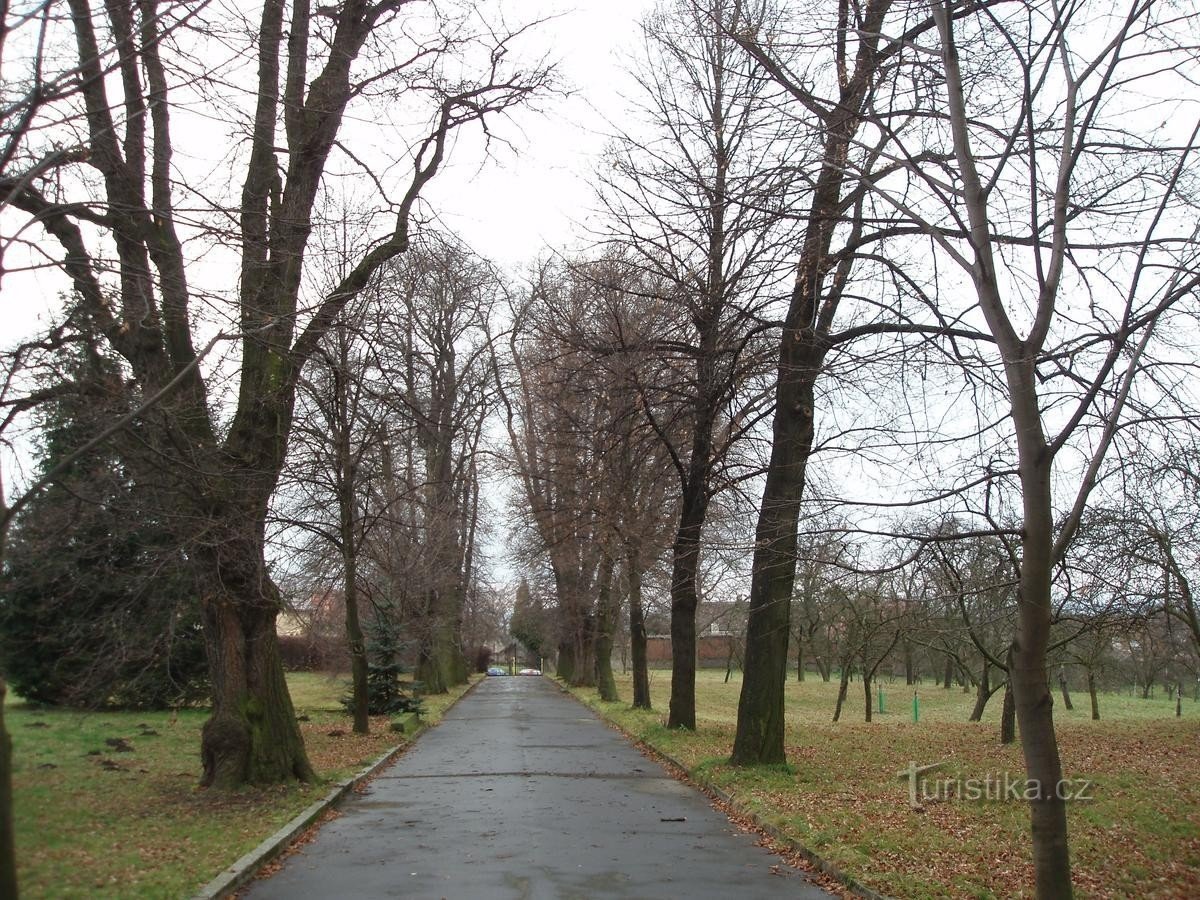 parcul castelului