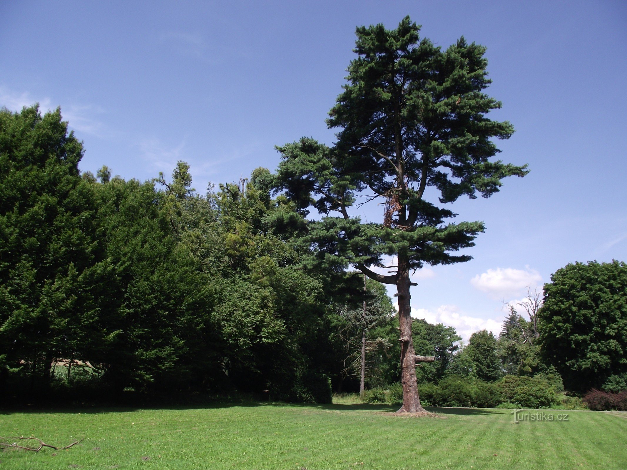 parcul castelului