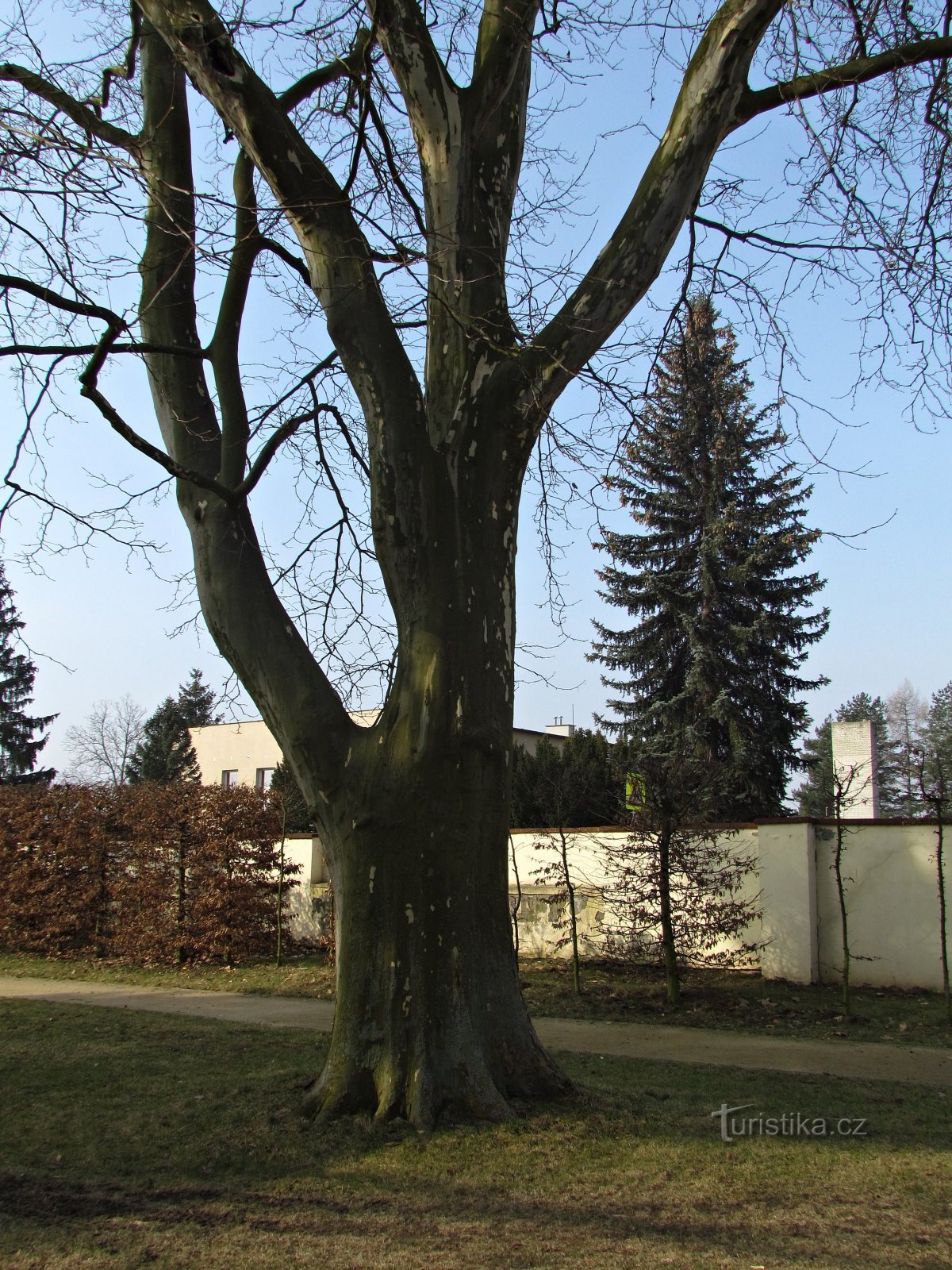 Parc du château