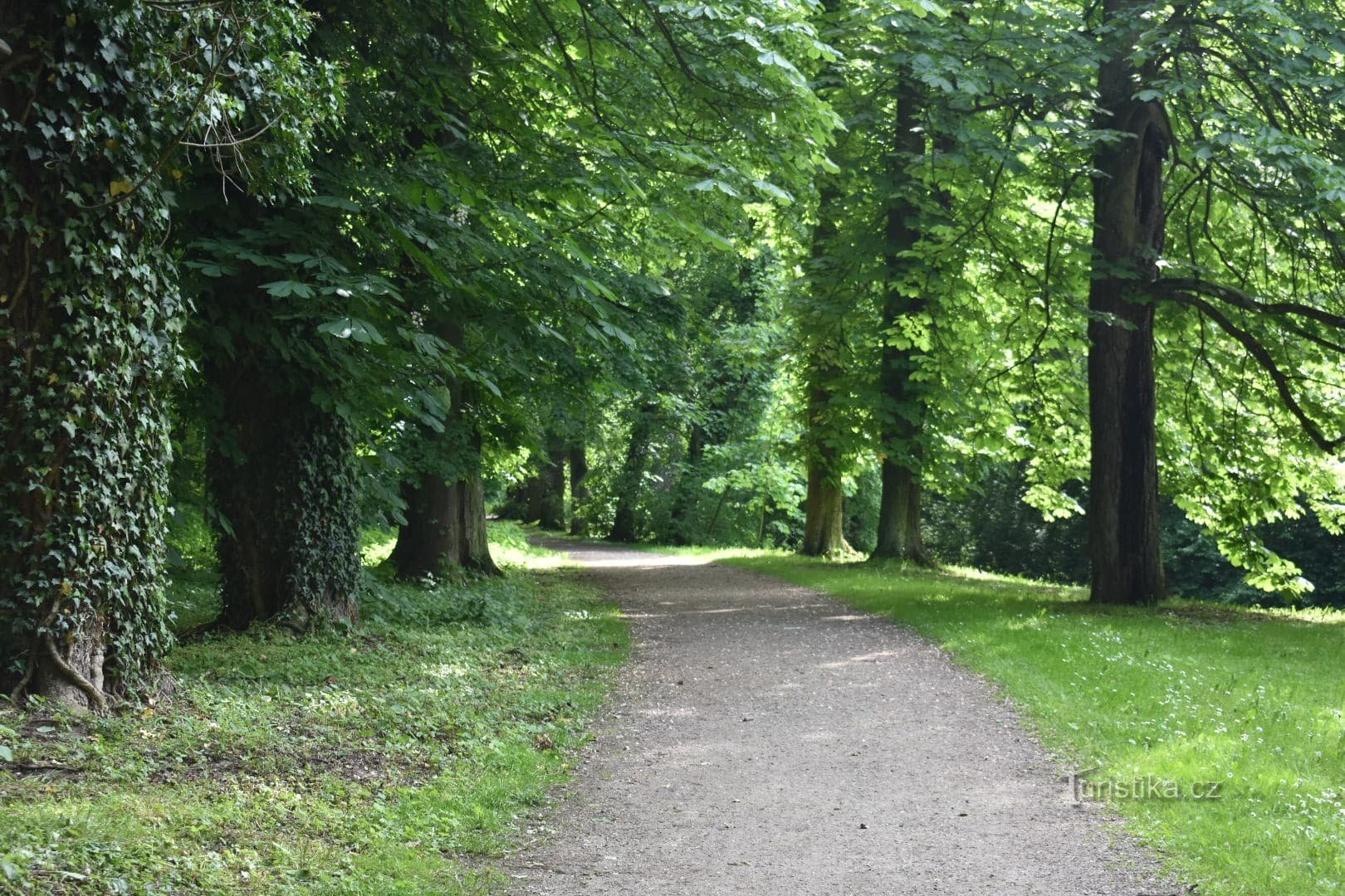 Zámecký park Choltice