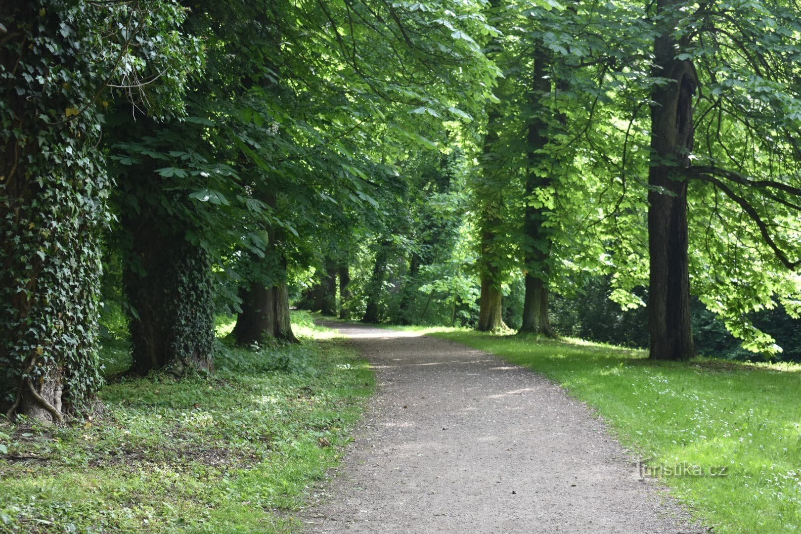 Park dvorca Choltice