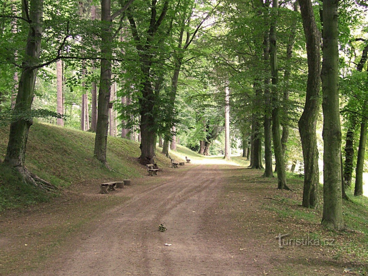 チシェ城公園