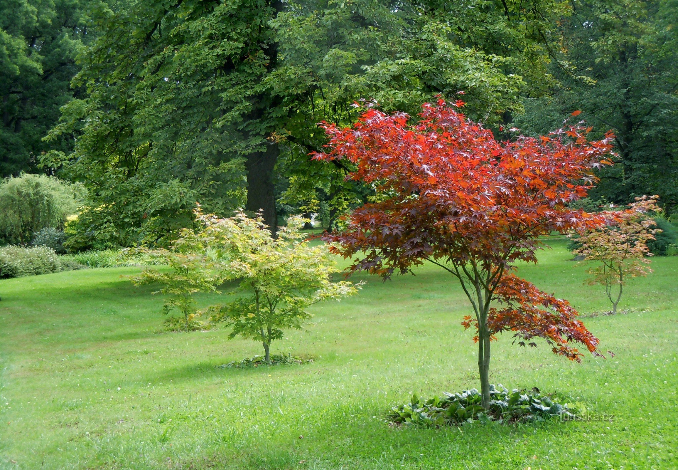 Parc du château de Jemniště