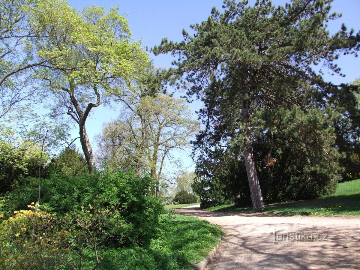 Parc du château de Karlova Koruna