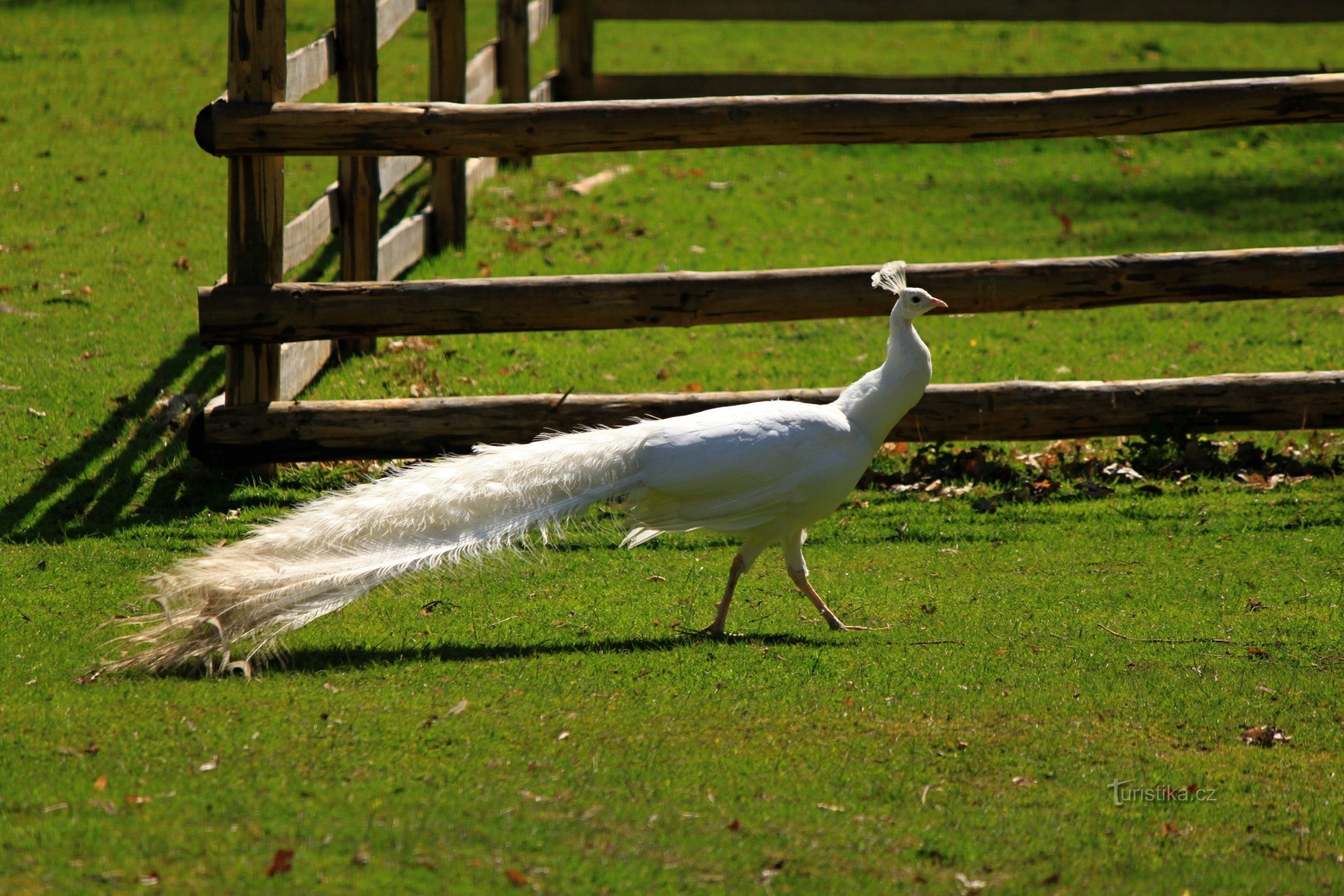 Parcul Castelului - Rezervația naturală Castelul Blatná