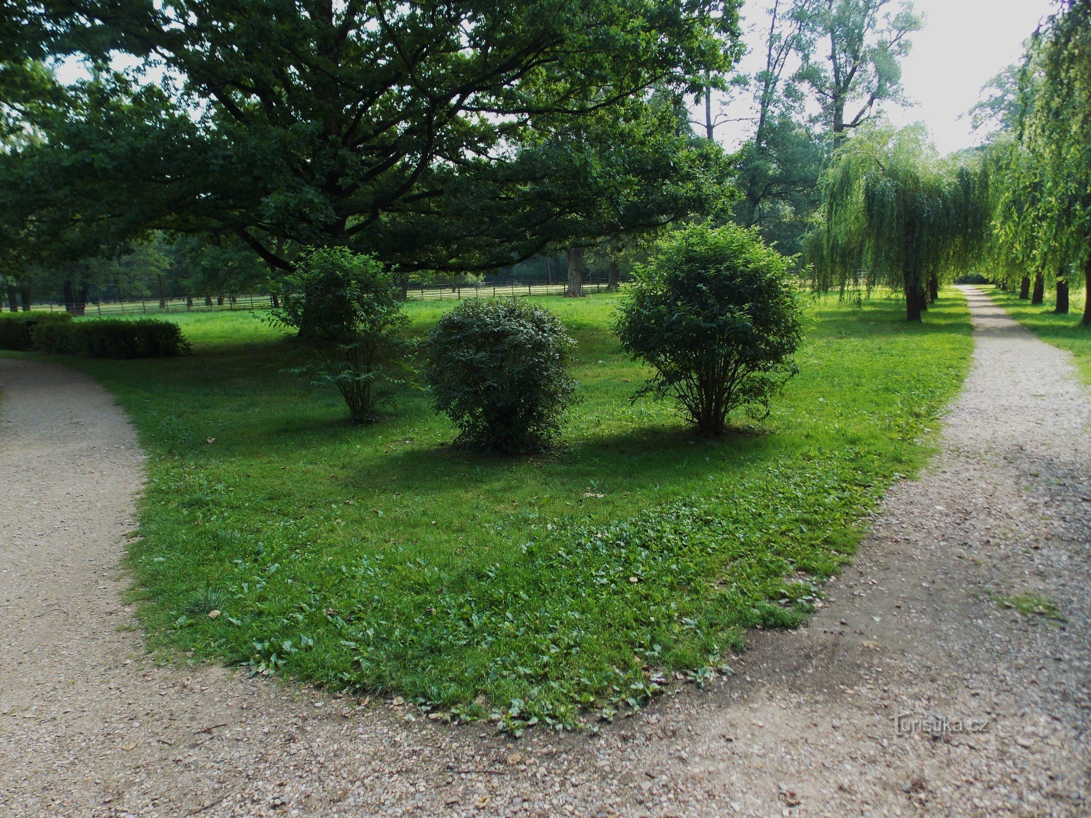 Parque del castillo con minizoológico en Častolovice