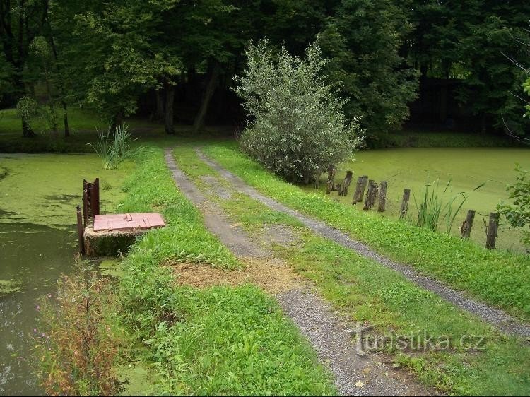 Parcul castelului cu iazuri: grădina Petra Bezruč sub castelul din Klimkovice