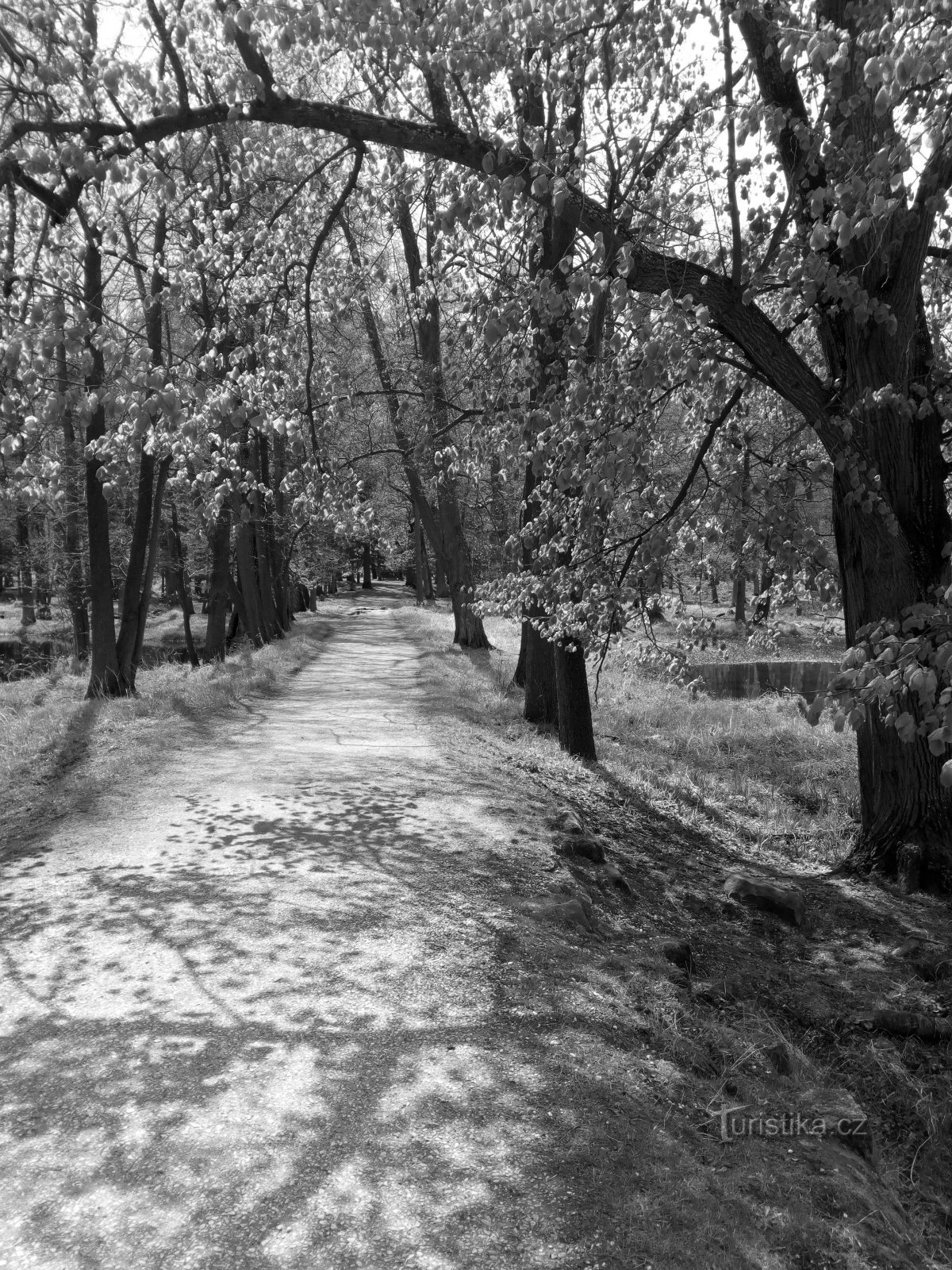 Park Zamkowy w Blatná