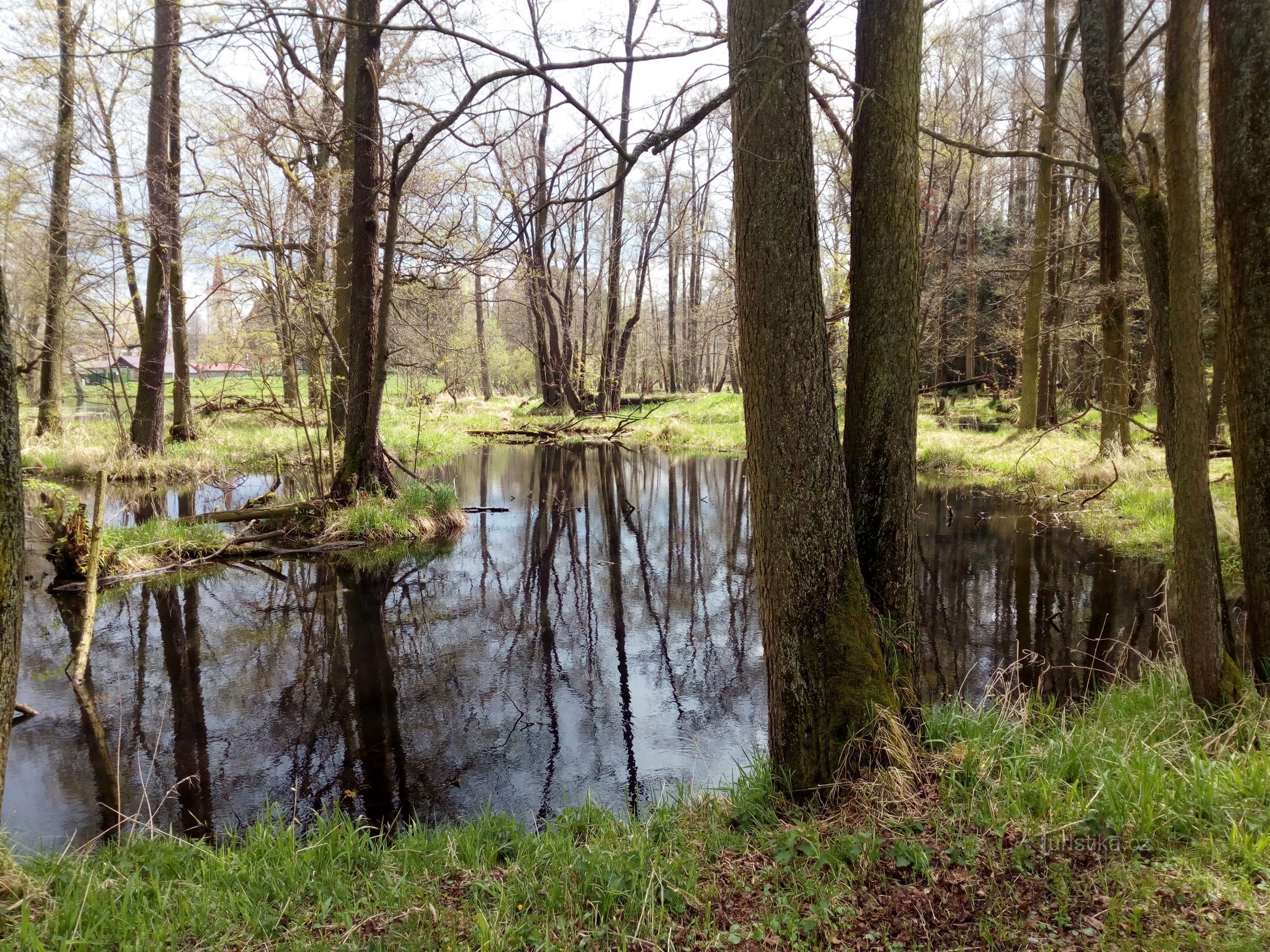 Kasteelpark in Blatná