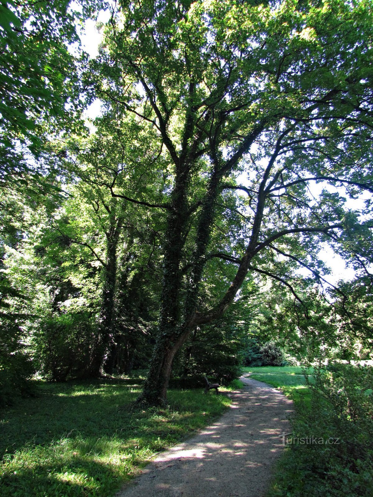 Park zamkowy w Lešná u