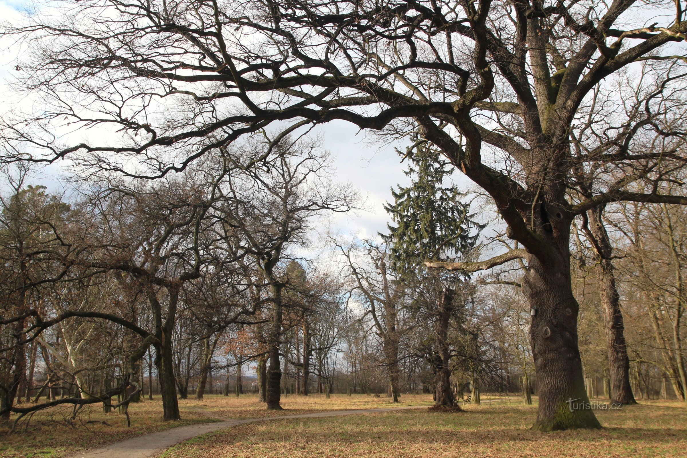 Park dvorca u Židlochovicama