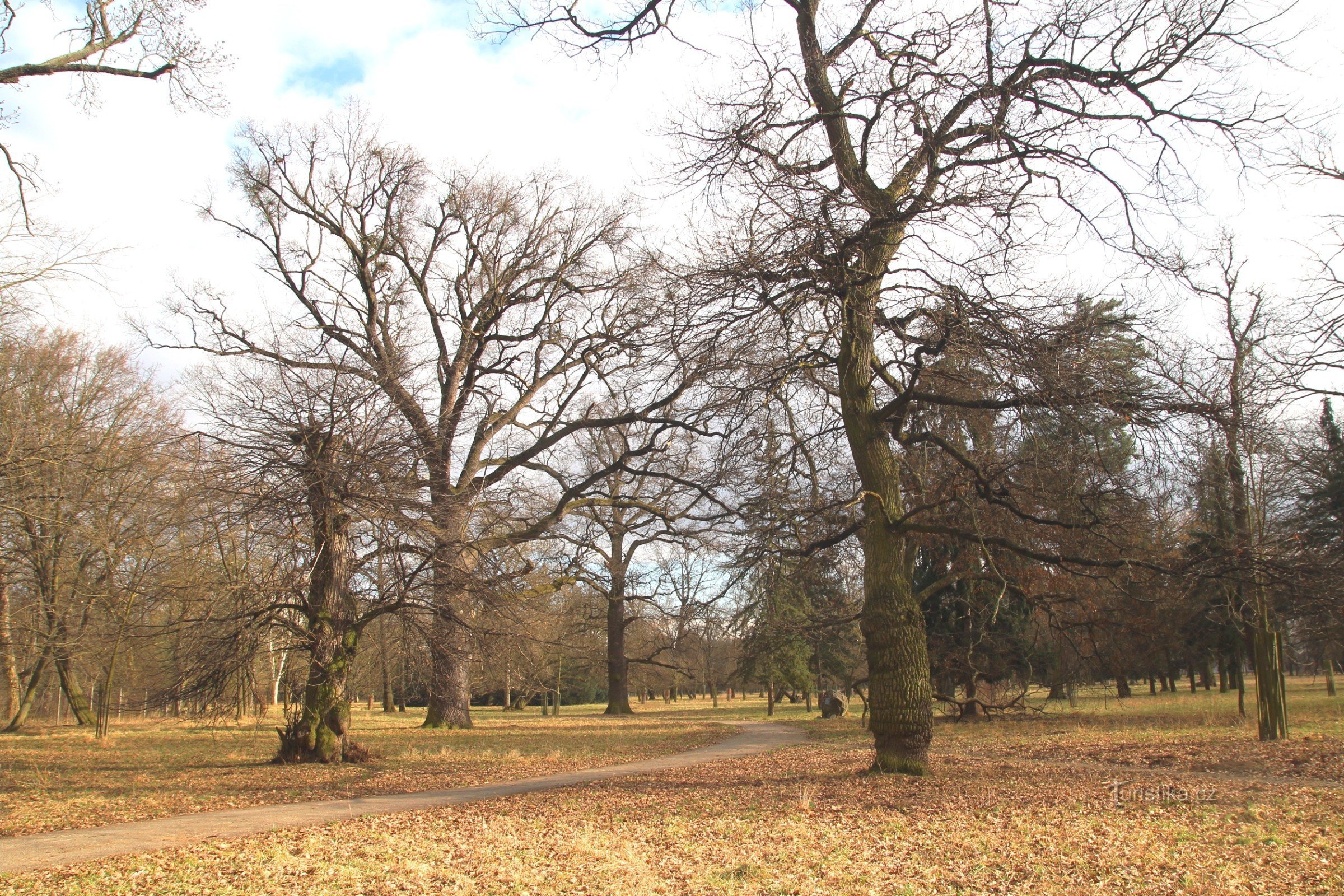 Slottsparken i Židlochovice