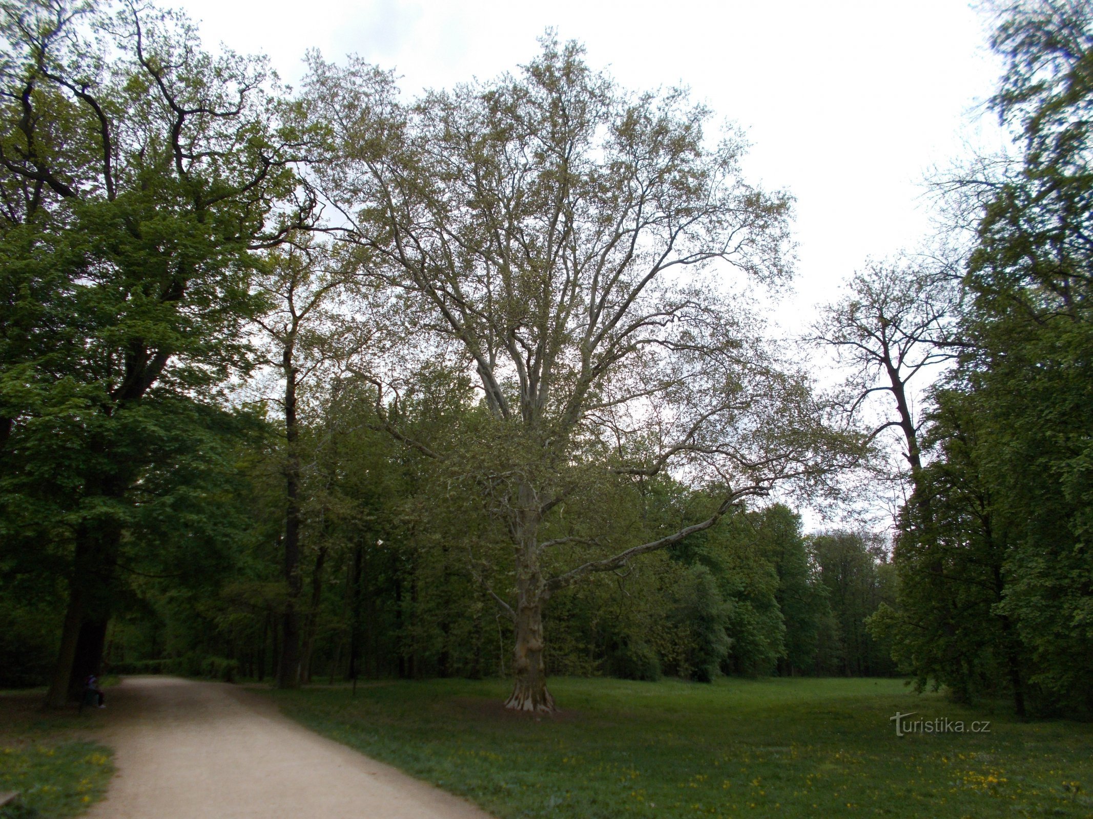 Parque del castillo de Veltrusy