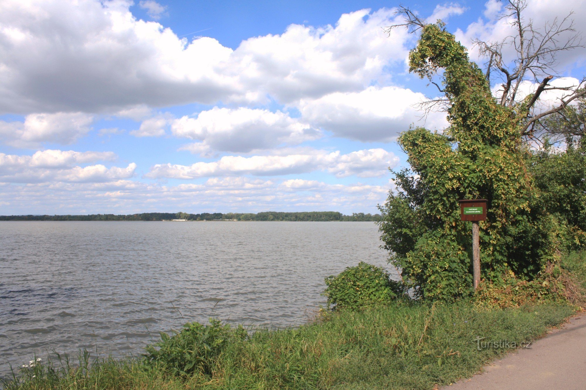 Lagoa do castelo