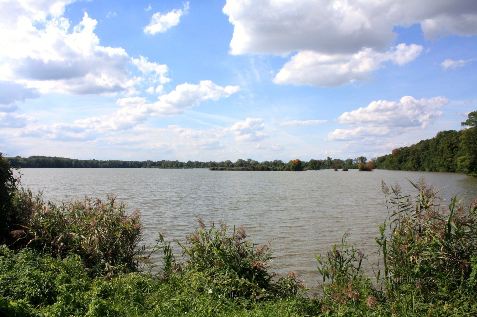 Castle pond