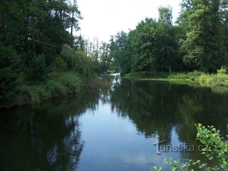 Zámecký rybník