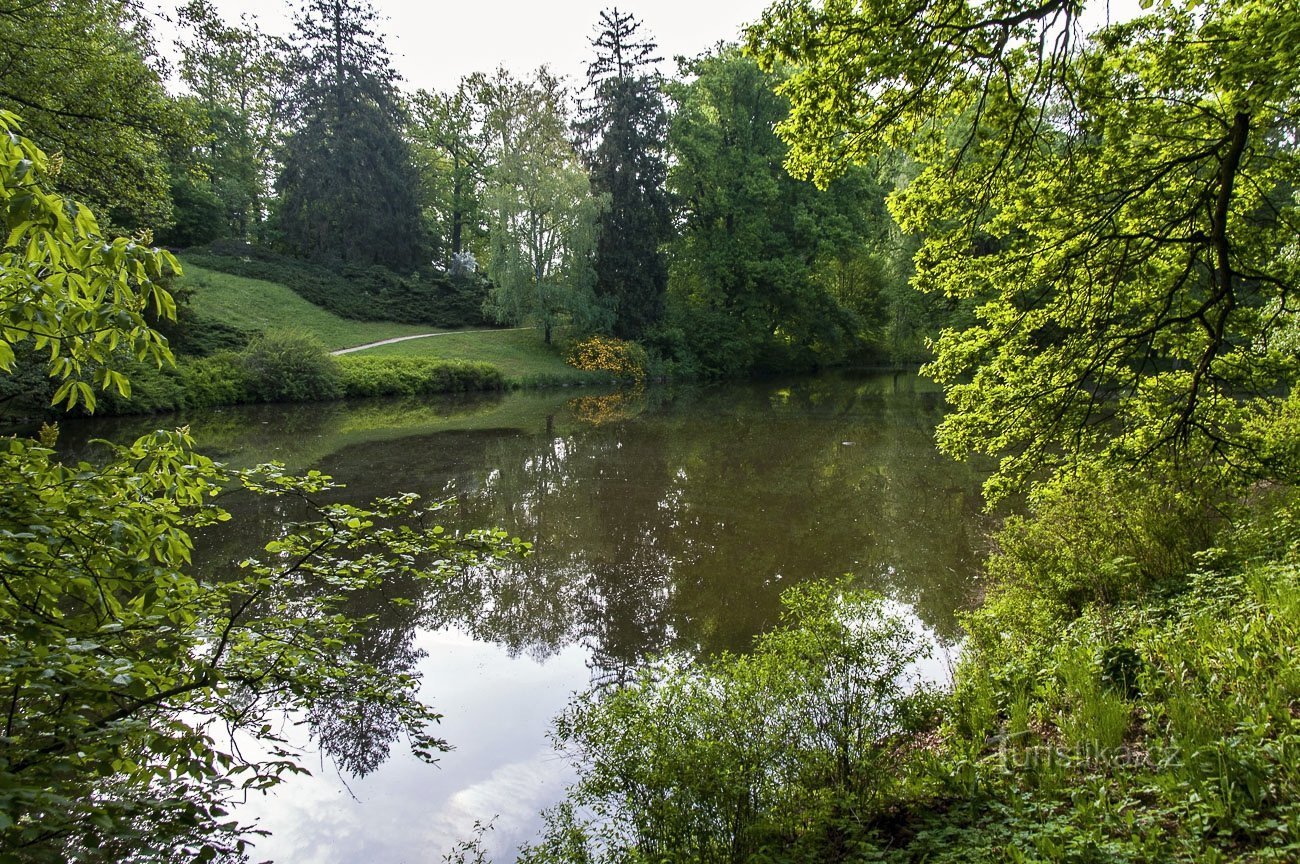 Kasteelvijver