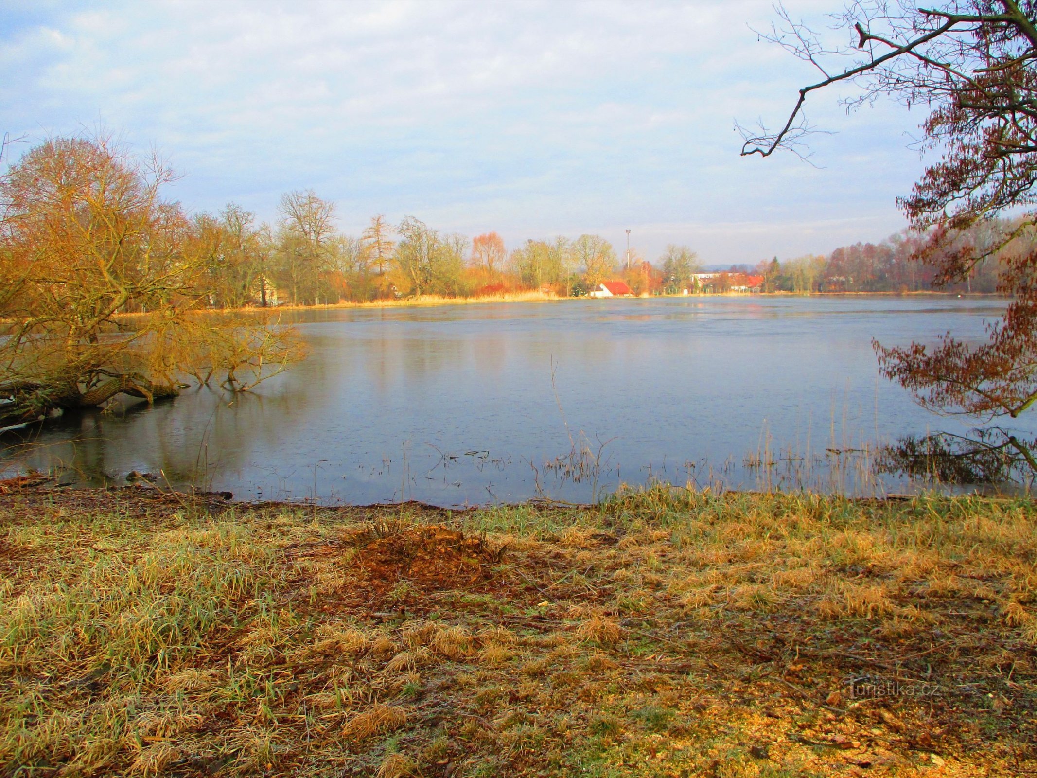Zámecký rybník (Kopidlno, 3.3.2022)