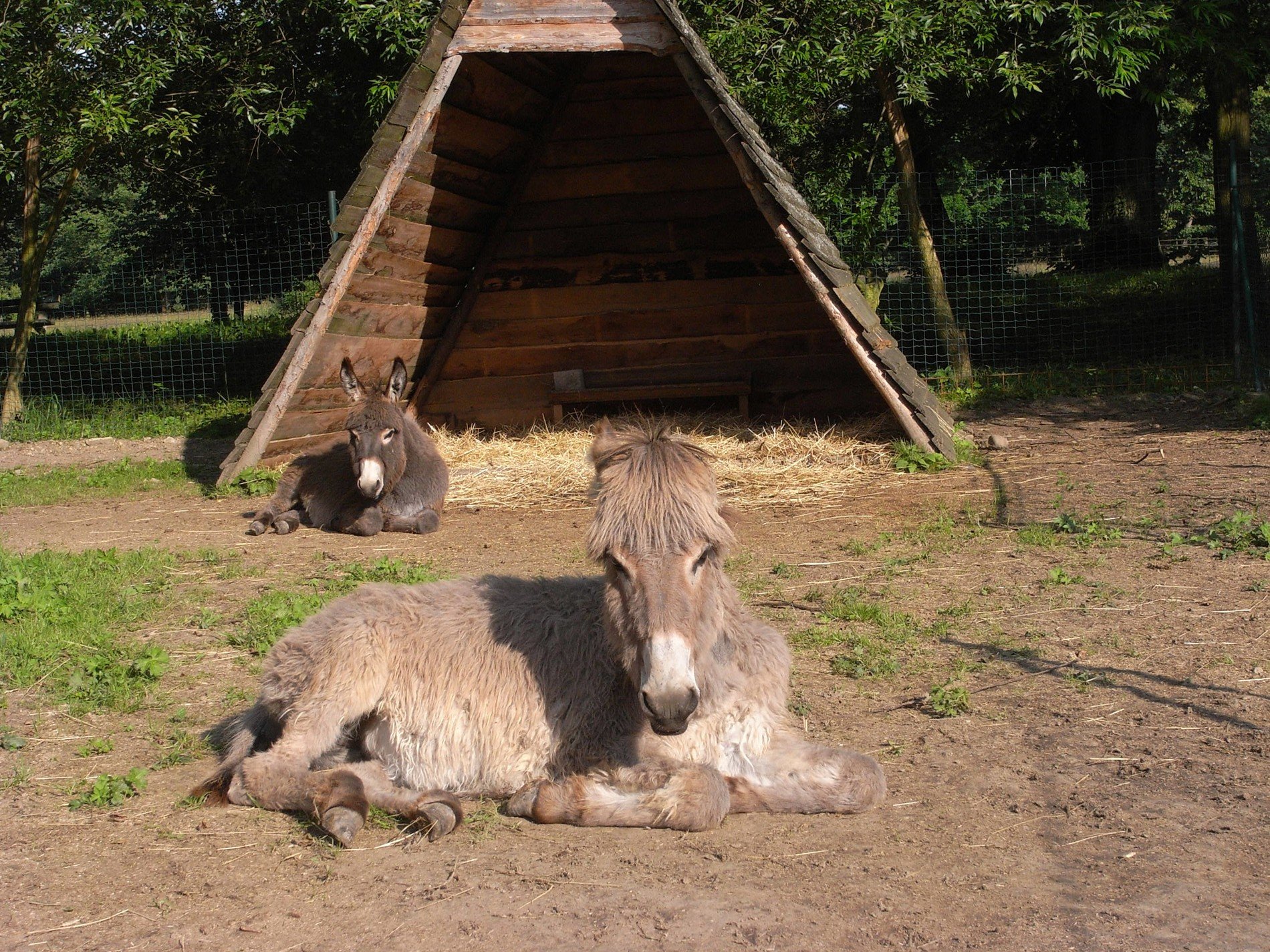 Ménagerie du château