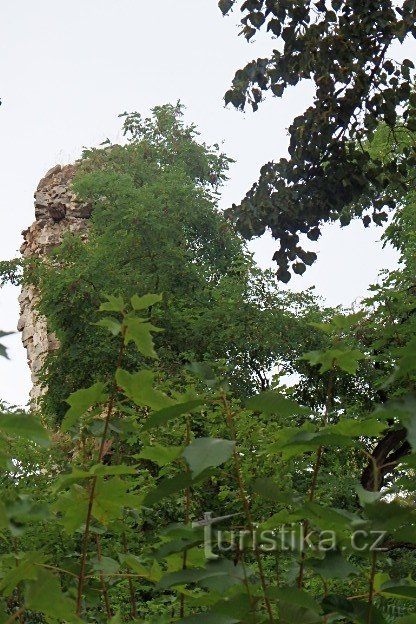 Grad in ruševine gradu Střela