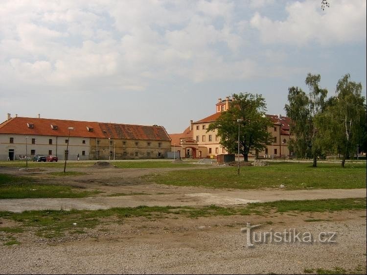 Castelul - vedere generală: Vedere generală a castelului