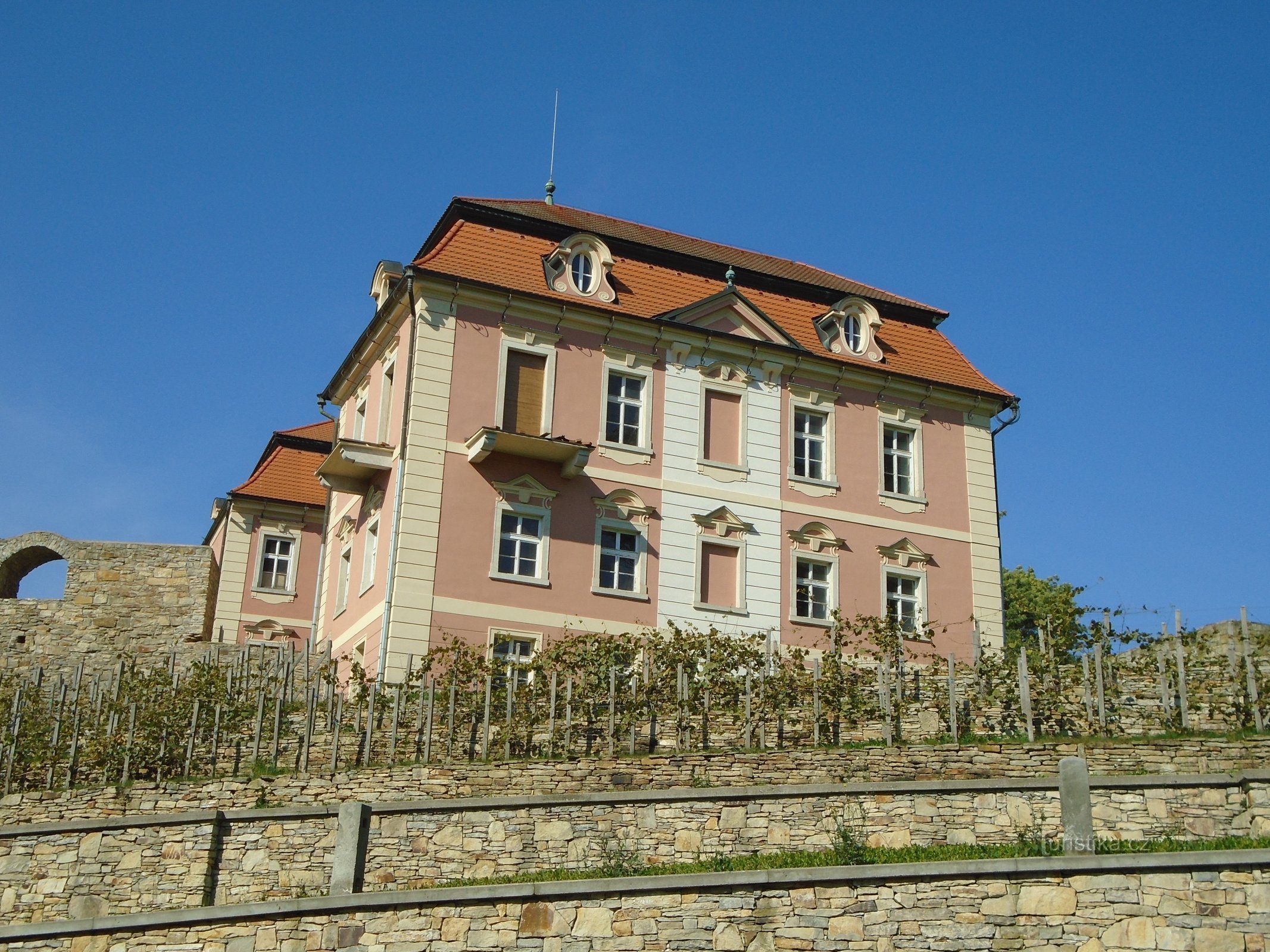 Castle (Chvalkovice)