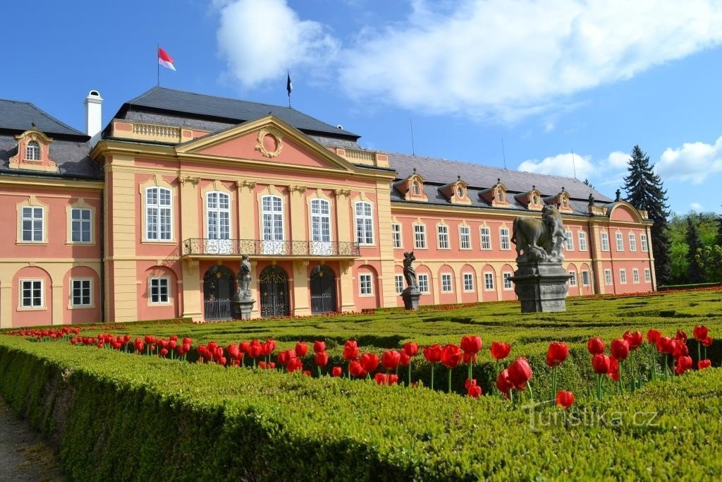Château de Dobříš avec des tulipes, 2013