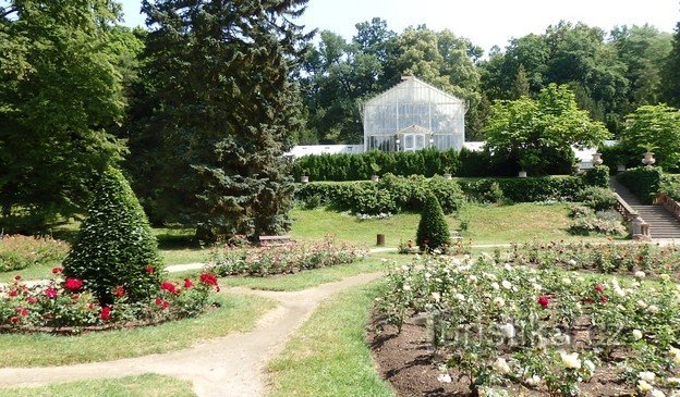 Konopiště Chateau