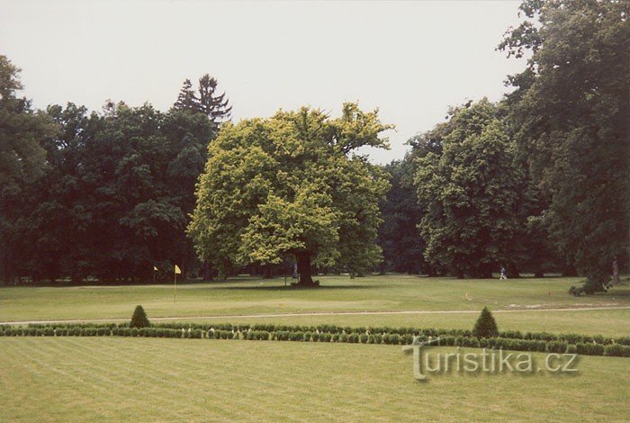 Schlosspark Kravaře mit Golfplatz