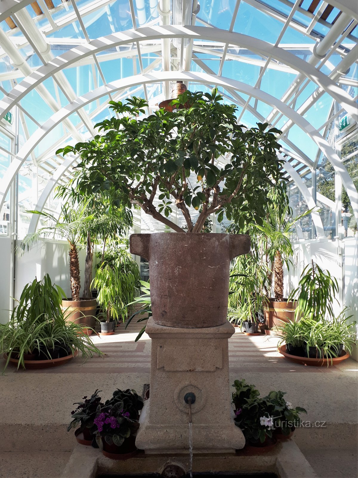 Lány Castle - castle greenhouse