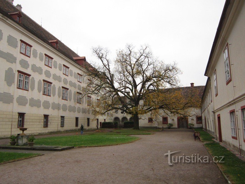 Château d'Opočno - 1ère cour