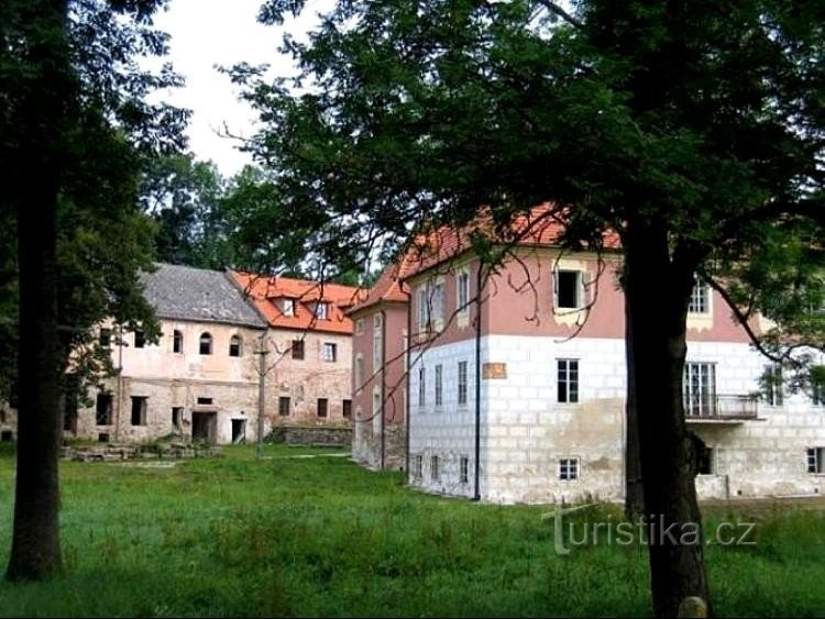 Zamek: Widok zamku z parku