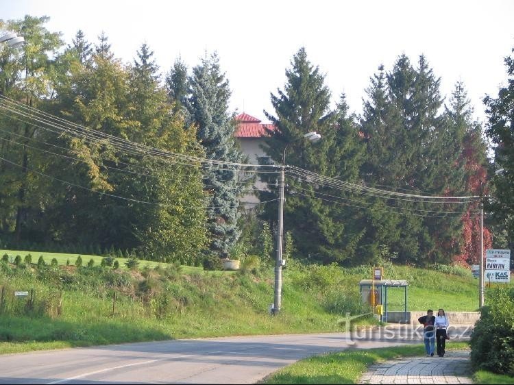 Château caché derrière des arbres matures