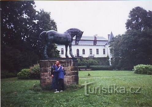 Kasteel Slatiňany: Kasteel Slatiňany