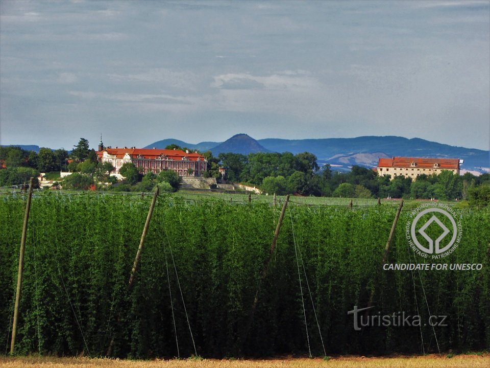 Castello di Stekník con un paesaggio di luppolo