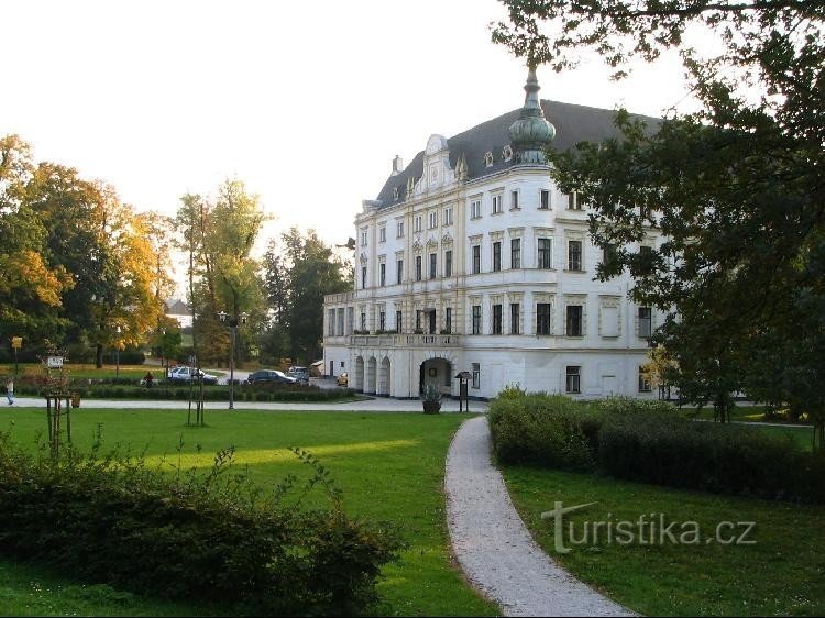 Castle in Bartošovice