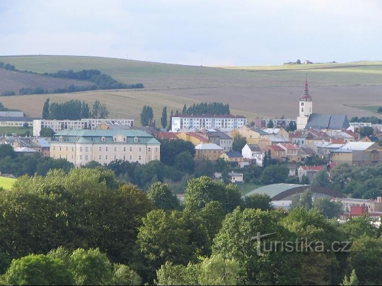 Castle in Bílovec