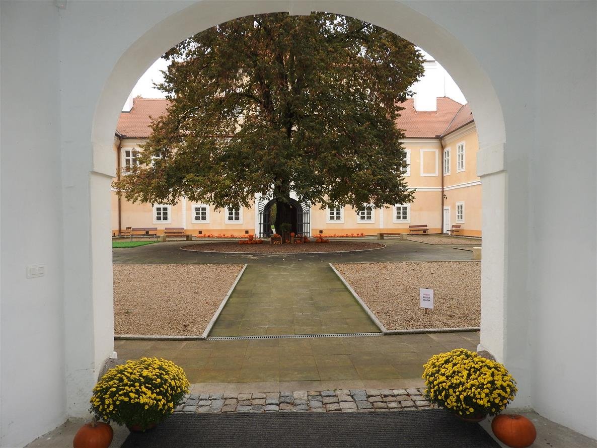 Burg Waldstein