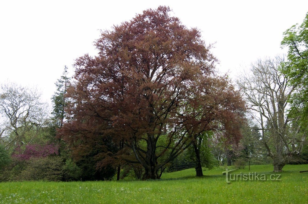 Încuietori de parc