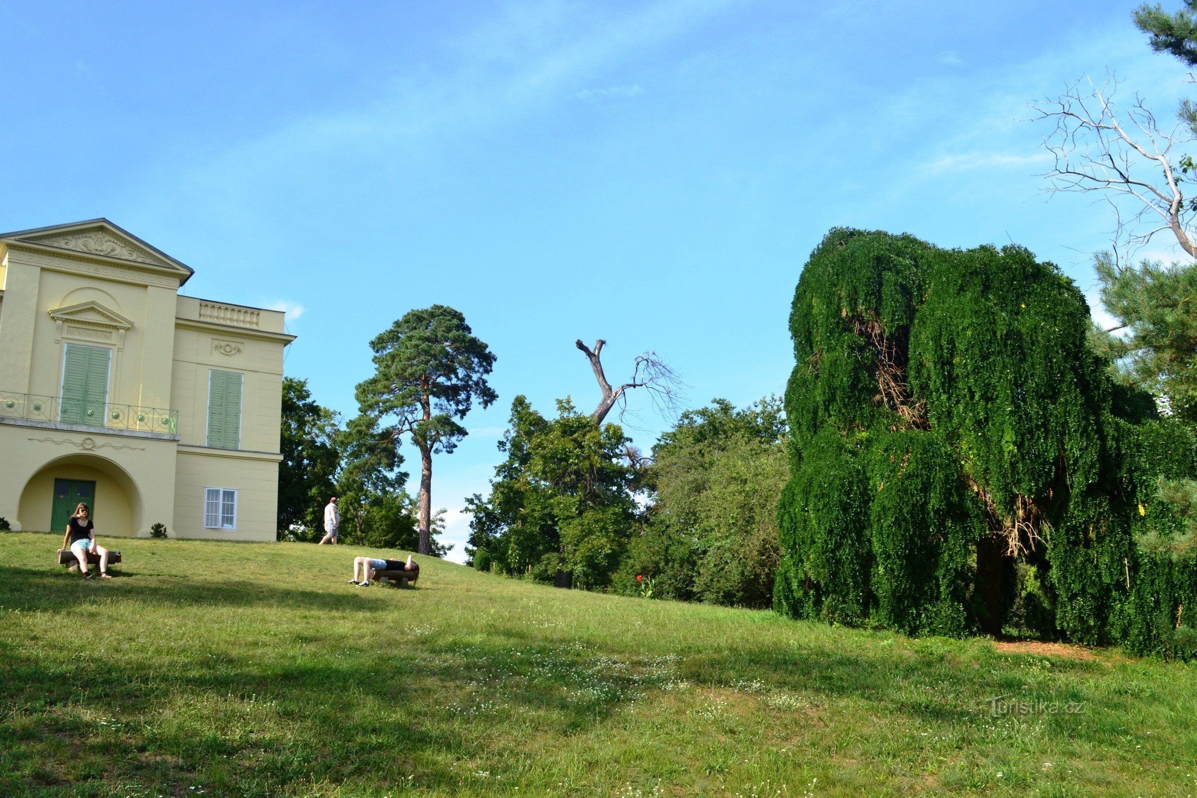 castel și copaci