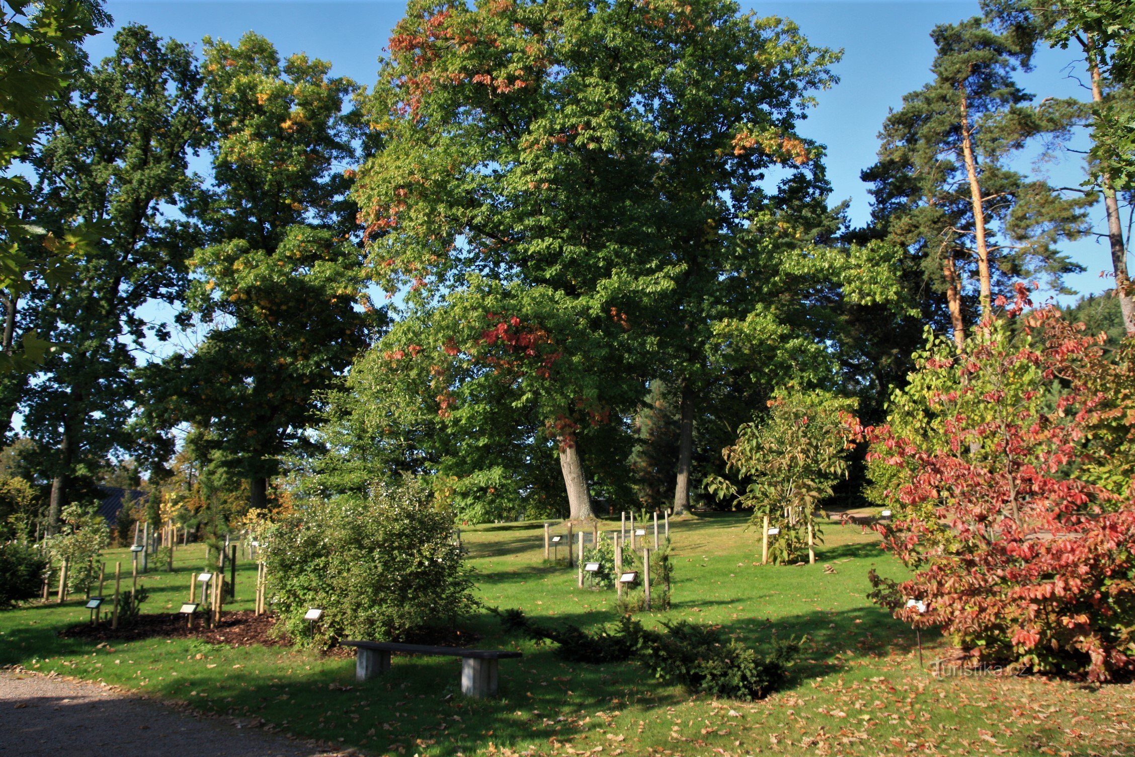 Žampach - arboreto