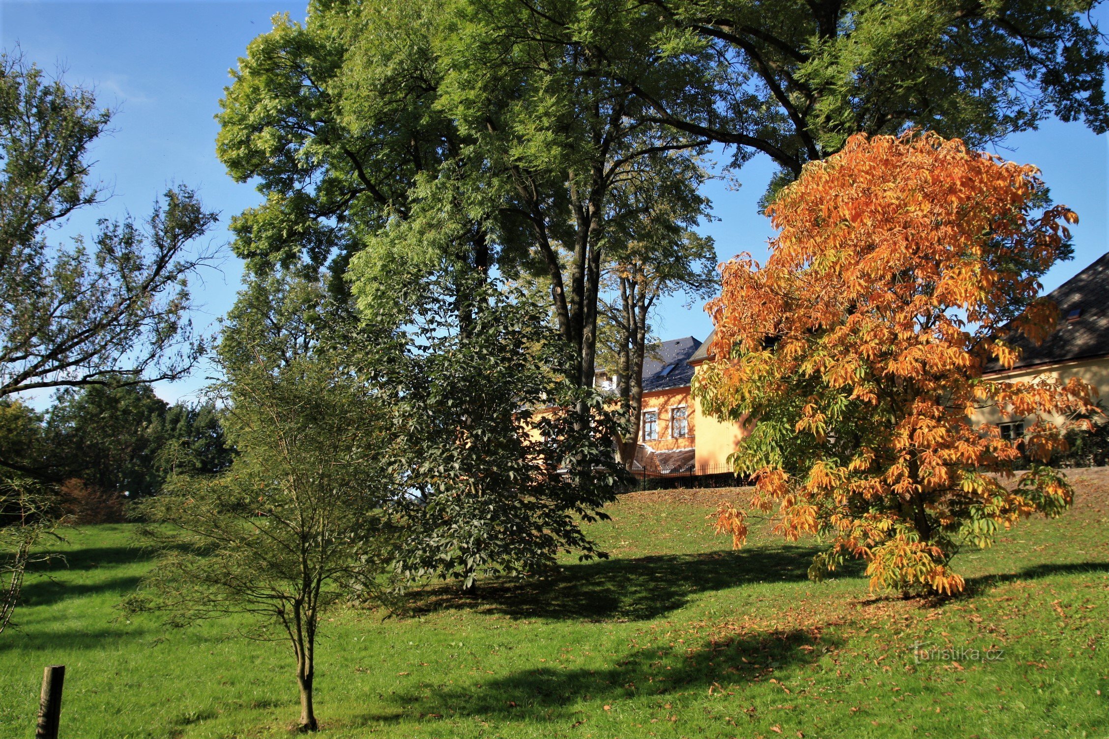 Žampach - Arboretum