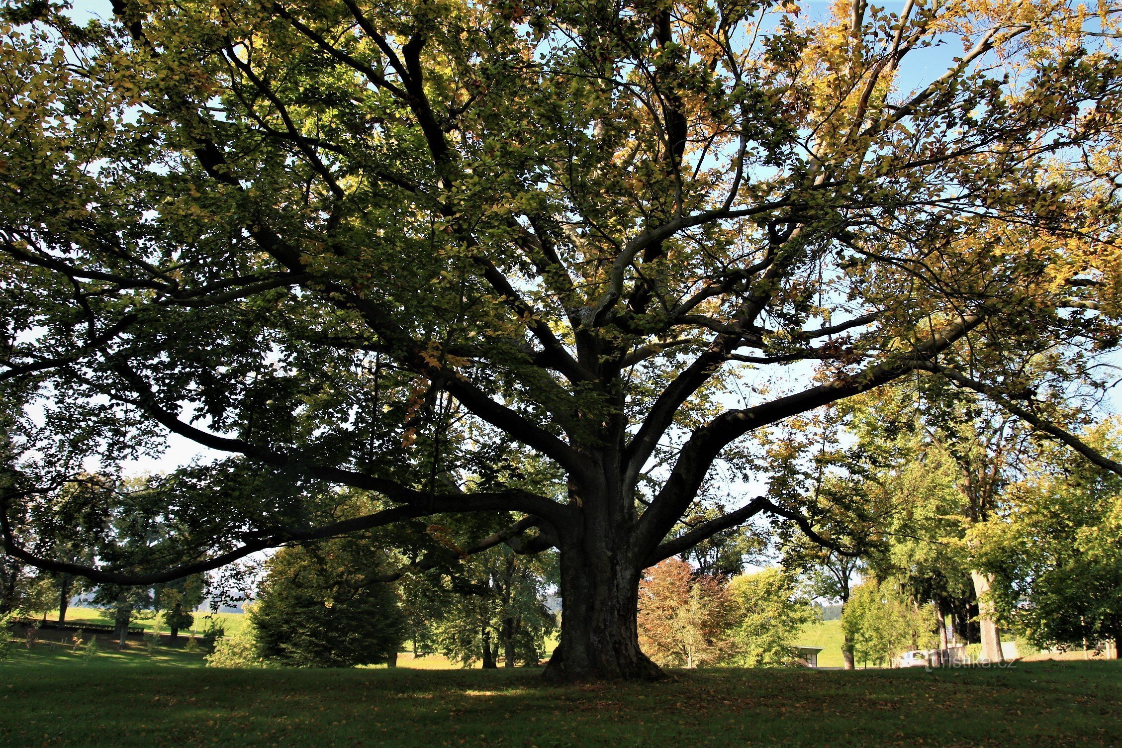 Zampach - arboretum