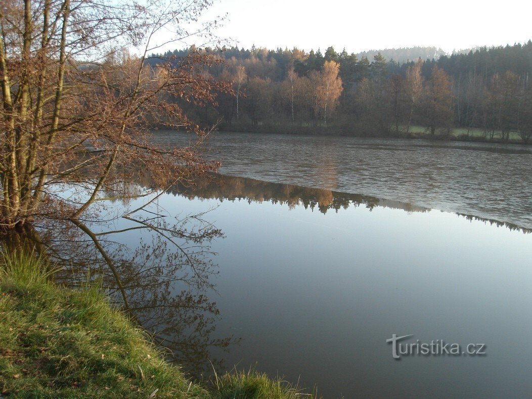 The Freezing Pond Murder