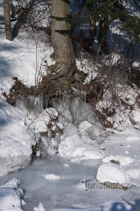 Frozen Roaring Desná